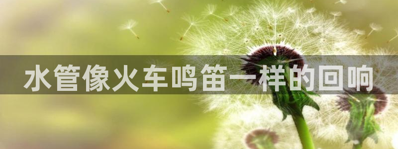 辰天娱乐