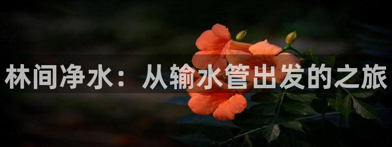 集宁天辰娱乐