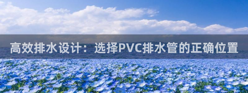 天辰娱乐跑的快