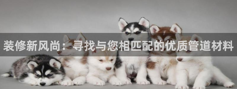 天辰娱乐总管年薪