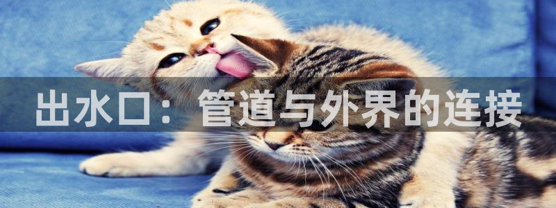 天辰娱乐文案