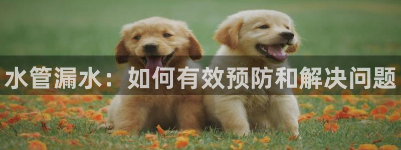 天辰娱乐在哪