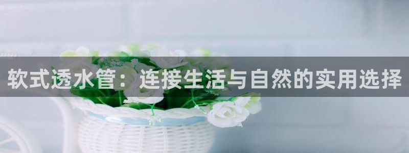 天辰娱乐首选