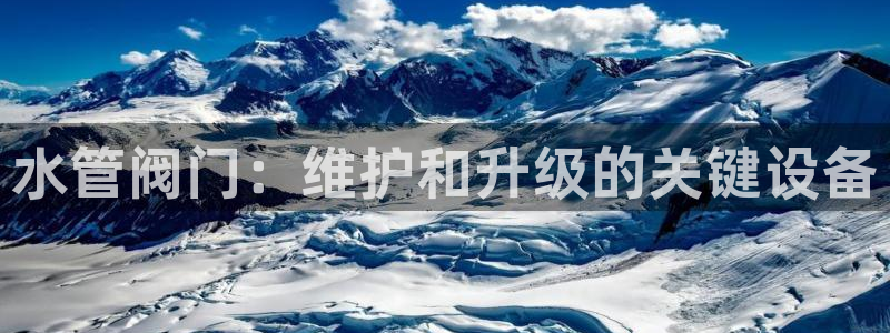 天辰娱乐 . 鱼刺