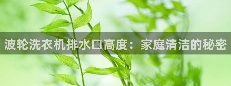 天辰娱乐台湾
