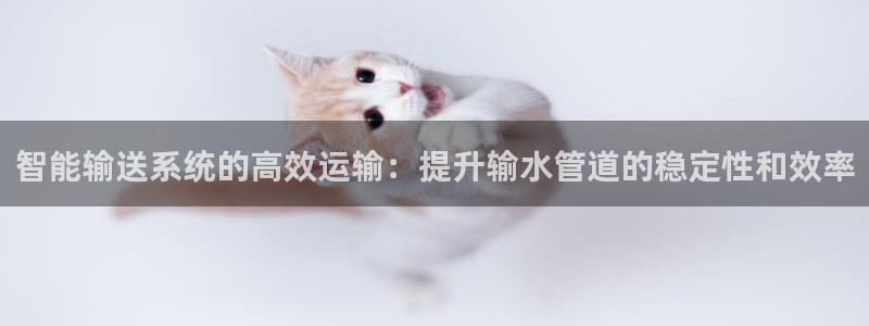 天辰娱乐视频