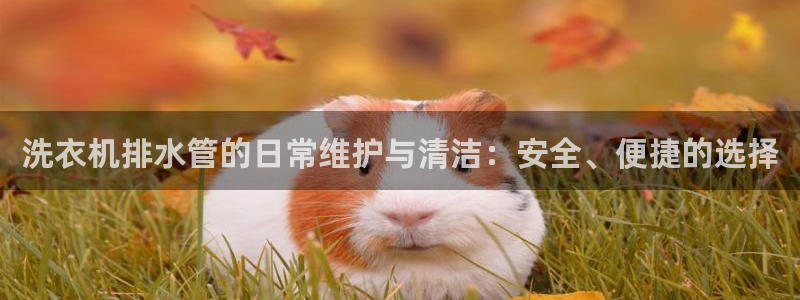 天辰娱乐官网平台下载