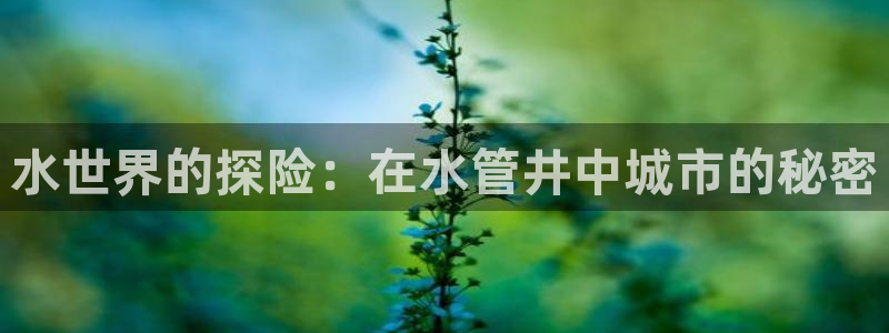 天辰娱乐平台测速