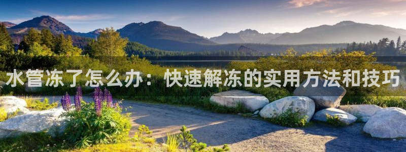 天辰娱乐_675138