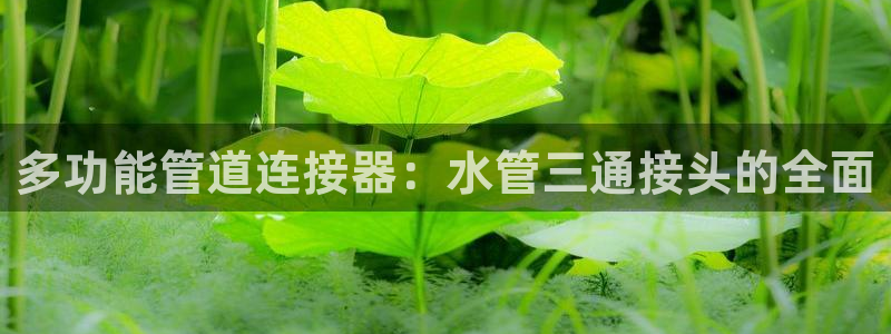 天辰2娱乐