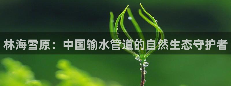 天辰娱乐登陆平台