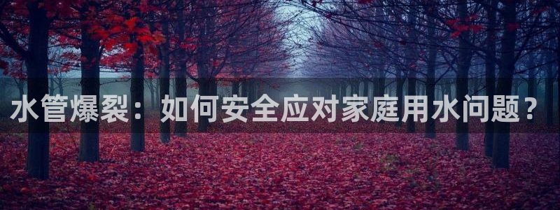 天辰娱乐平台注册