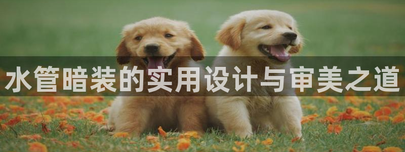 天辰娱乐总管