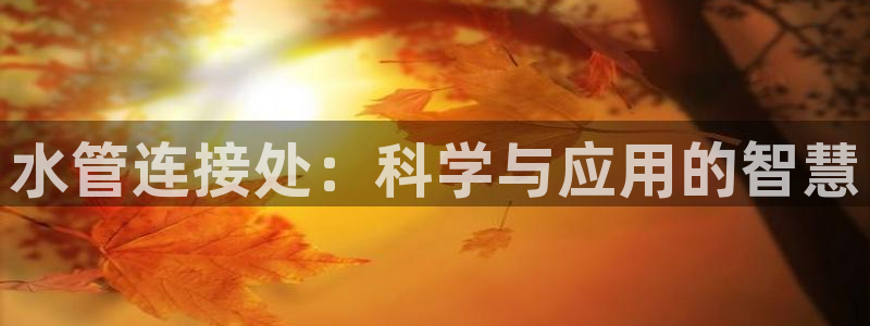 天辰娱乐输了