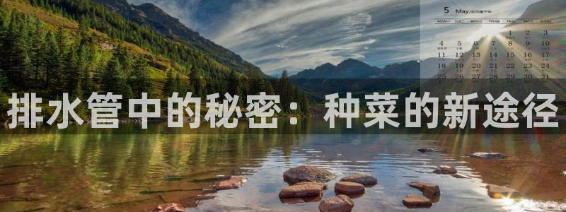 天辰娱乐新闻