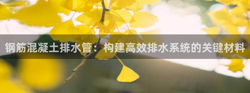 天辰娱乐下载链接