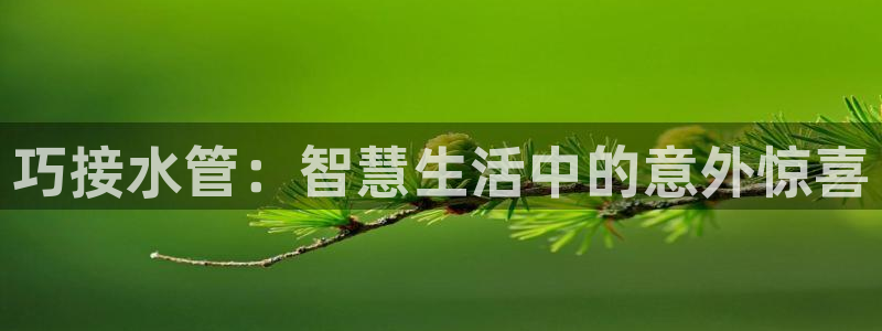 天辰2娱乐