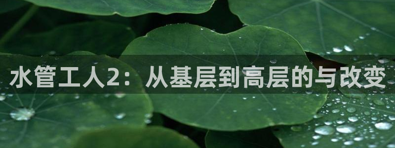 天辰娱乐黑人