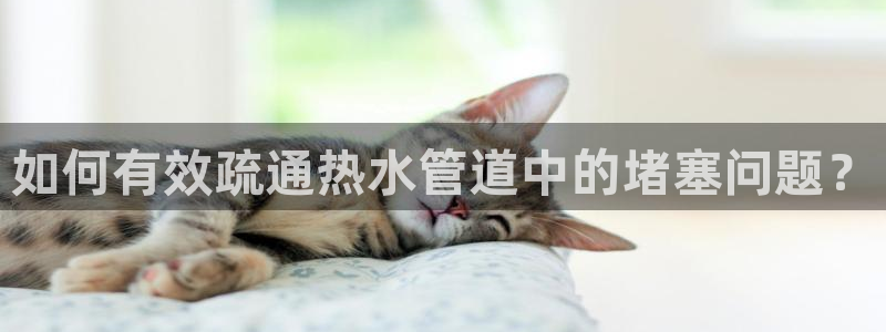 天辰娱乐论坛