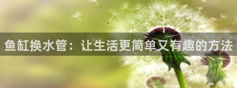 天辰娱乐官网平台入口