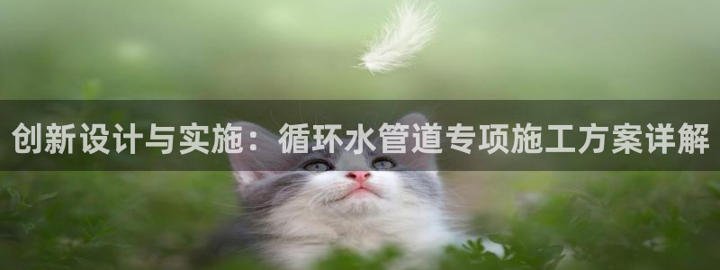 天辰娱乐 . 鱼刺