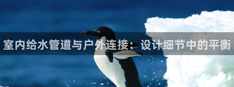 天辰娱乐 849852