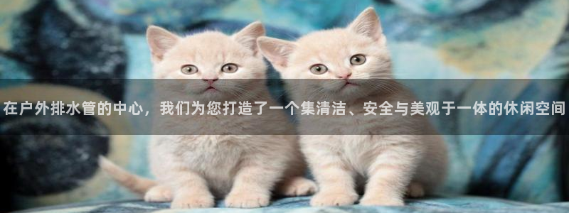 天辰娱乐会所