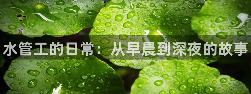 天辰娱乐内部