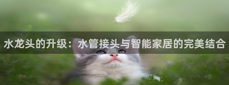 天辰娱乐怎么样