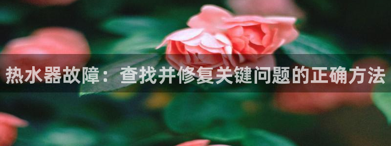 天辰娱乐 首选