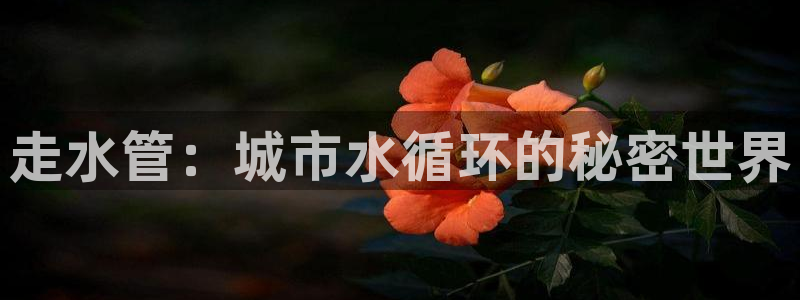 手机上怎么下载天辰娱乐