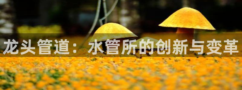 天辰娱乐天辰宝