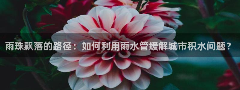 天辰娱乐平台入口