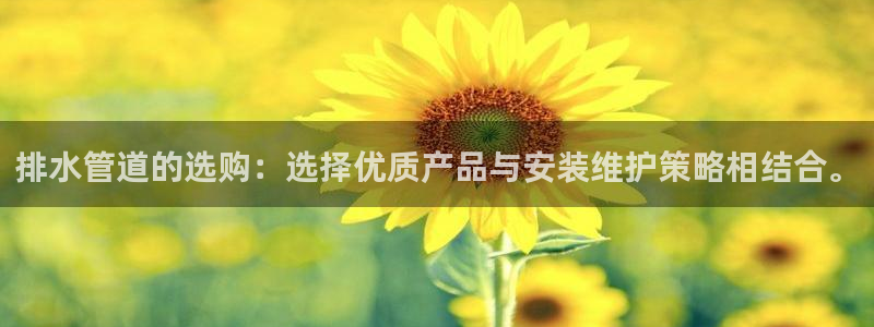 天辰娱乐官方网