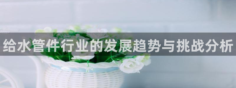 天辰彩票娱乐