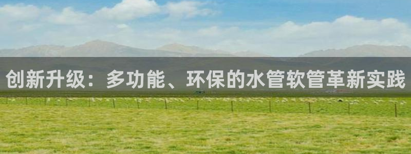 天辰娱乐 . 鱼刺