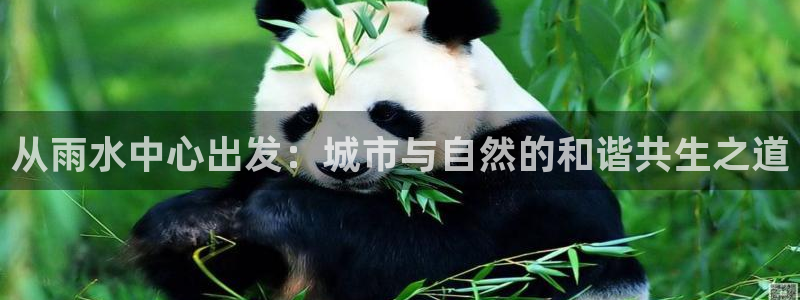 天辰娱乐登录测试