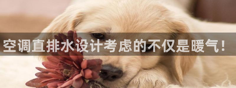 天辰娱乐39974神