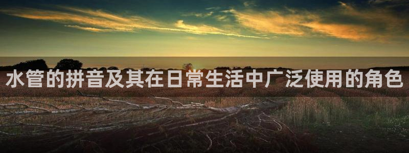 天辰娱乐平台安全吗