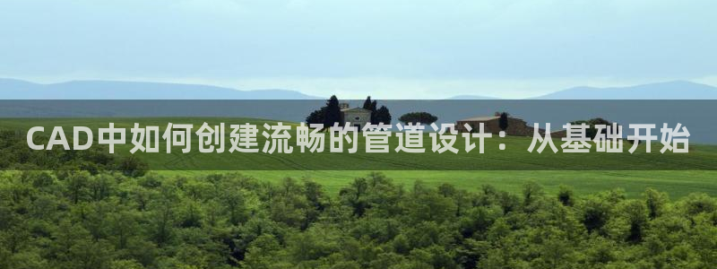 天辰娱乐 . 鱼刺