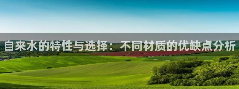 天辰娱乐 . 鱼刺