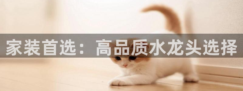 天辰娱乐总管年薪