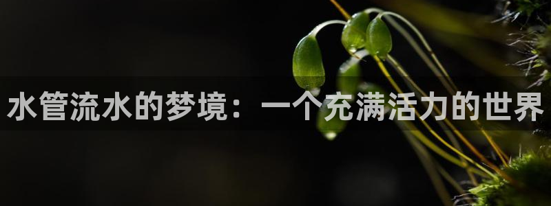 天辰娱乐平台靠谱么